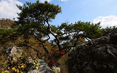 가지산.