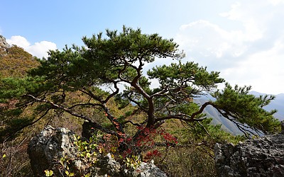 가지산.
