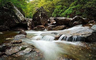 지리산 !