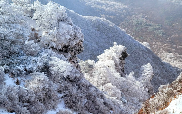 영실 설경속에서
