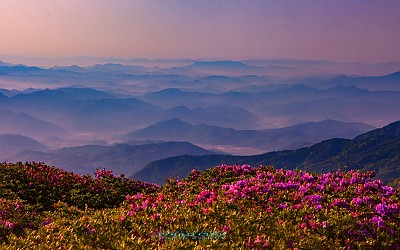 황매 산그리메