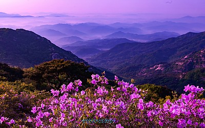 황매산