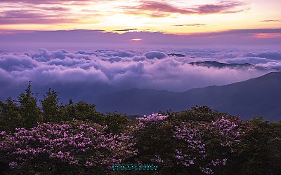 덕유산 여명
