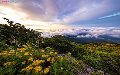 지리산 노고단