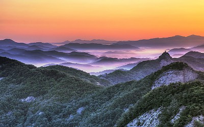 정자가 보이는 풍경