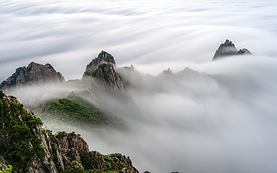 초복입니다.