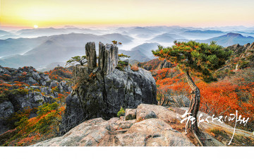 대둔산의 가을아침