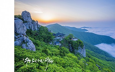 초록의 봄