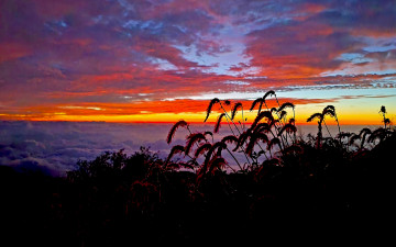 지리산천왕봉의 일출