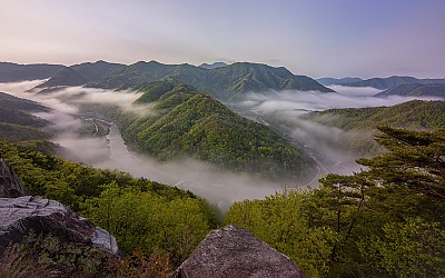 봄 산정