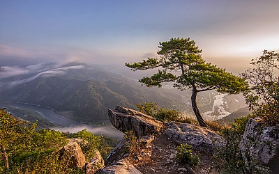 여름 산정