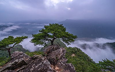 여름 산정