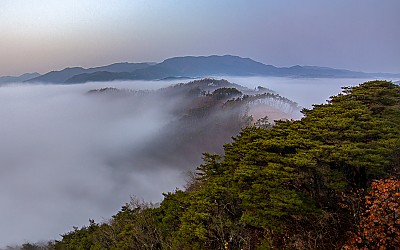 봄 산정