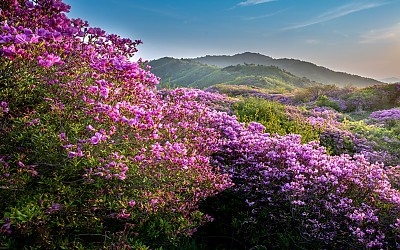 팔랑치에서 바라본 바래봉