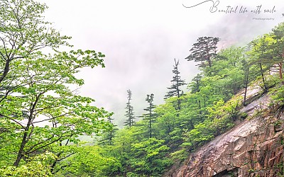 신록 - 설악산