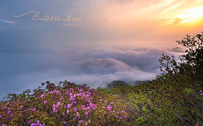 봄 설악 - 소청