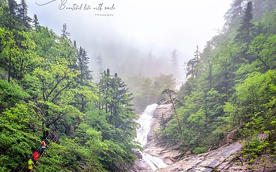 신록 - 설악산 2
