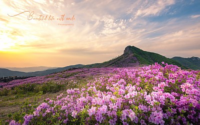 황매산 노을