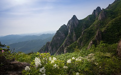 월출산 신록