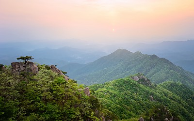 신록 - 대둔산