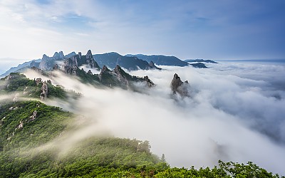 공룡
