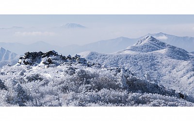설국
