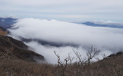 신불산에서