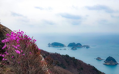 거제 망산