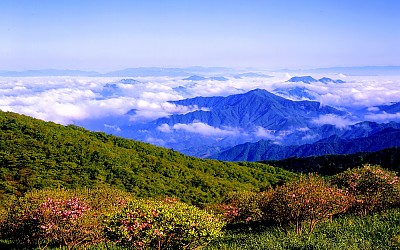 소백산 추억
