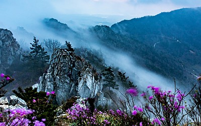 눈이 더 즐거운 주작산