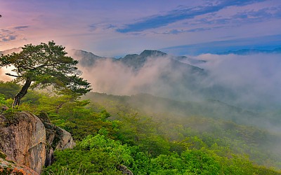 4월하순의 작은동산