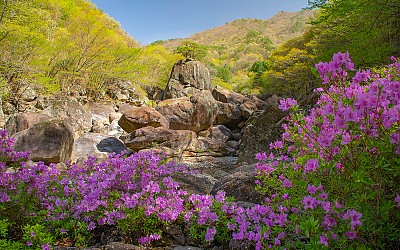 명상바위
