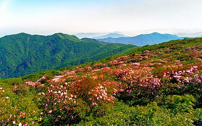 바람