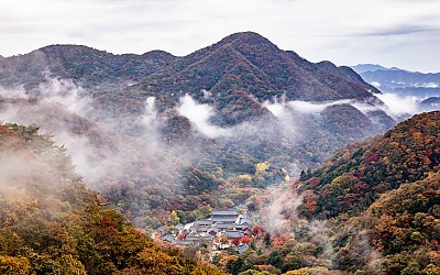 가을이  익어갑니다