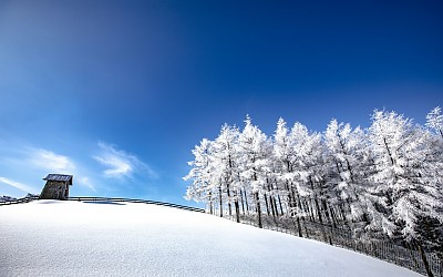 언덕이지만 산이라 우김