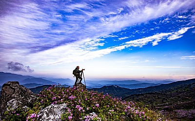 사람도 풍경이다