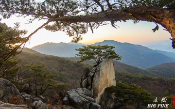 앙꼬없는 찐빵(안개없는 외솔봉)