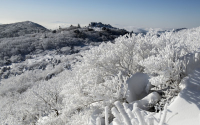 상고대가 좋은날