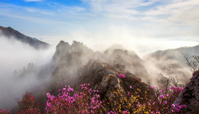 주작산 - 덕룡산(주작산)