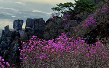 금정산. - 금정산