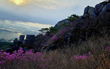 금정산. - 금정산
