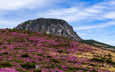 한라산.