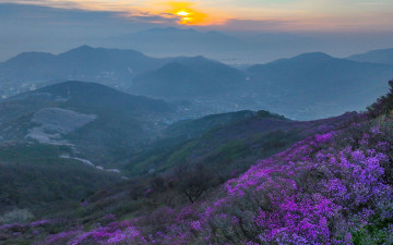 영취산 (드론 사진)
