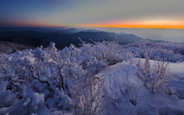 엄청 추웠던 기억이..