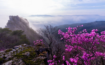 금정산 - 금정산