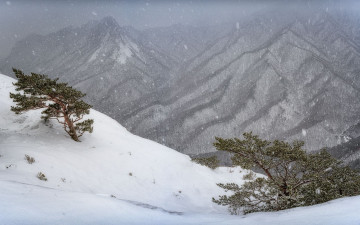 눈내리는 울산바위 풍경