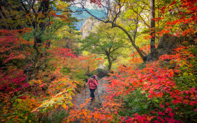 봉정암 오르는 길
