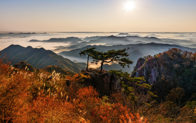 대둔산의 가을