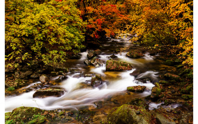 방태산의 가을2