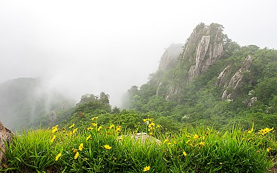 이런날이 연속이네요~